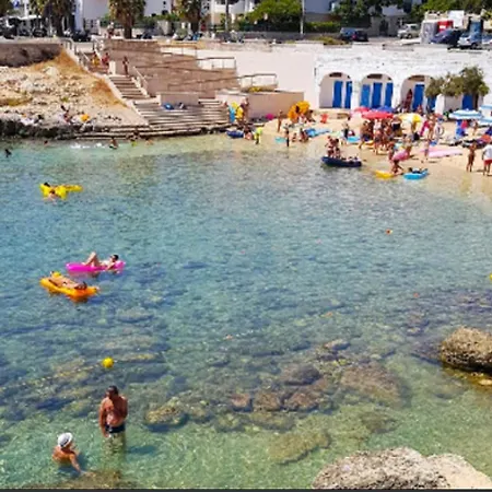 Alba Nardo